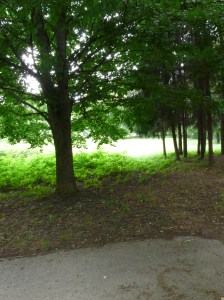 ...alebo tam, kde sa iným nedarí. 