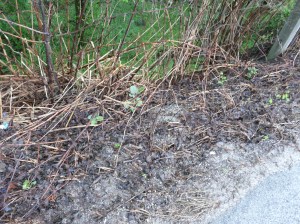 8 mesiacov po zásahu