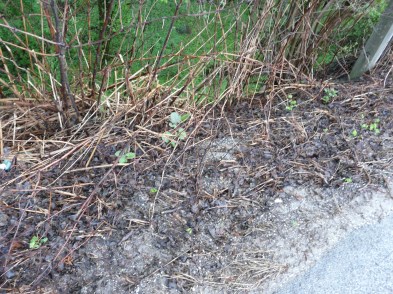 8 mesiacov po zásahu