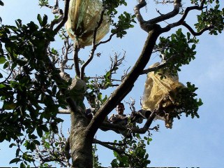 14556041217_e09d08318b_z